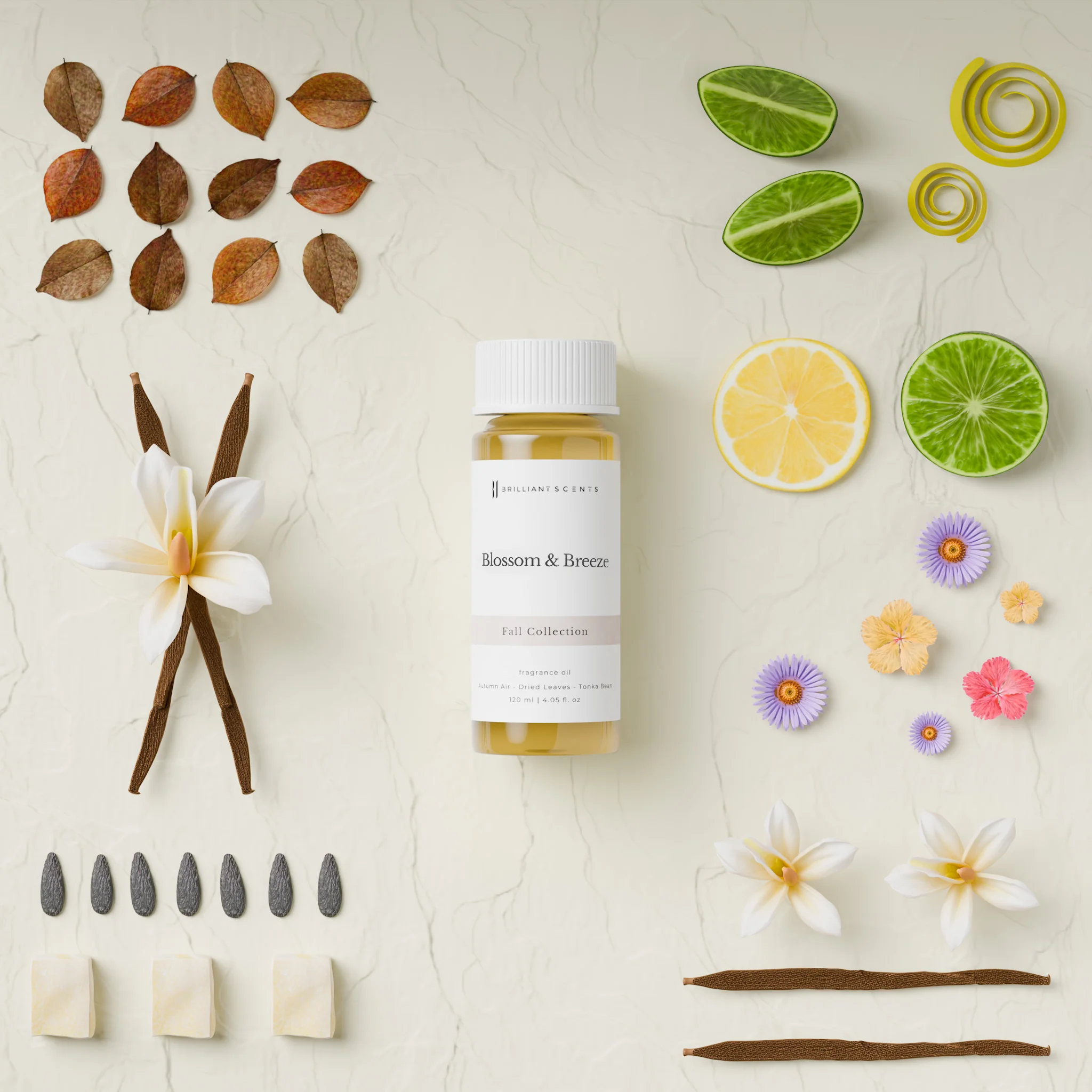 Blossom & Breeze - Image 4