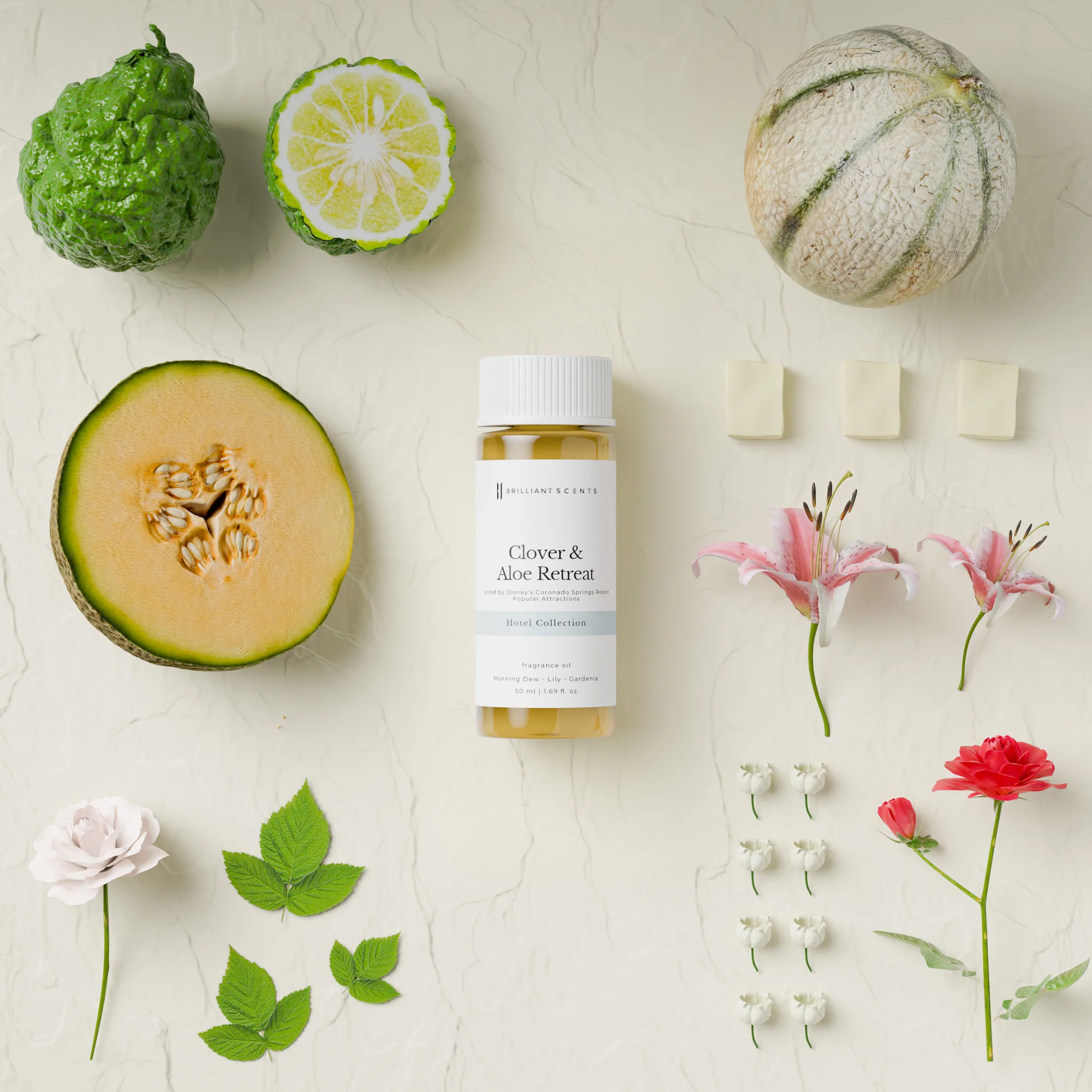 Clover & Aloe Retreat - Image 3