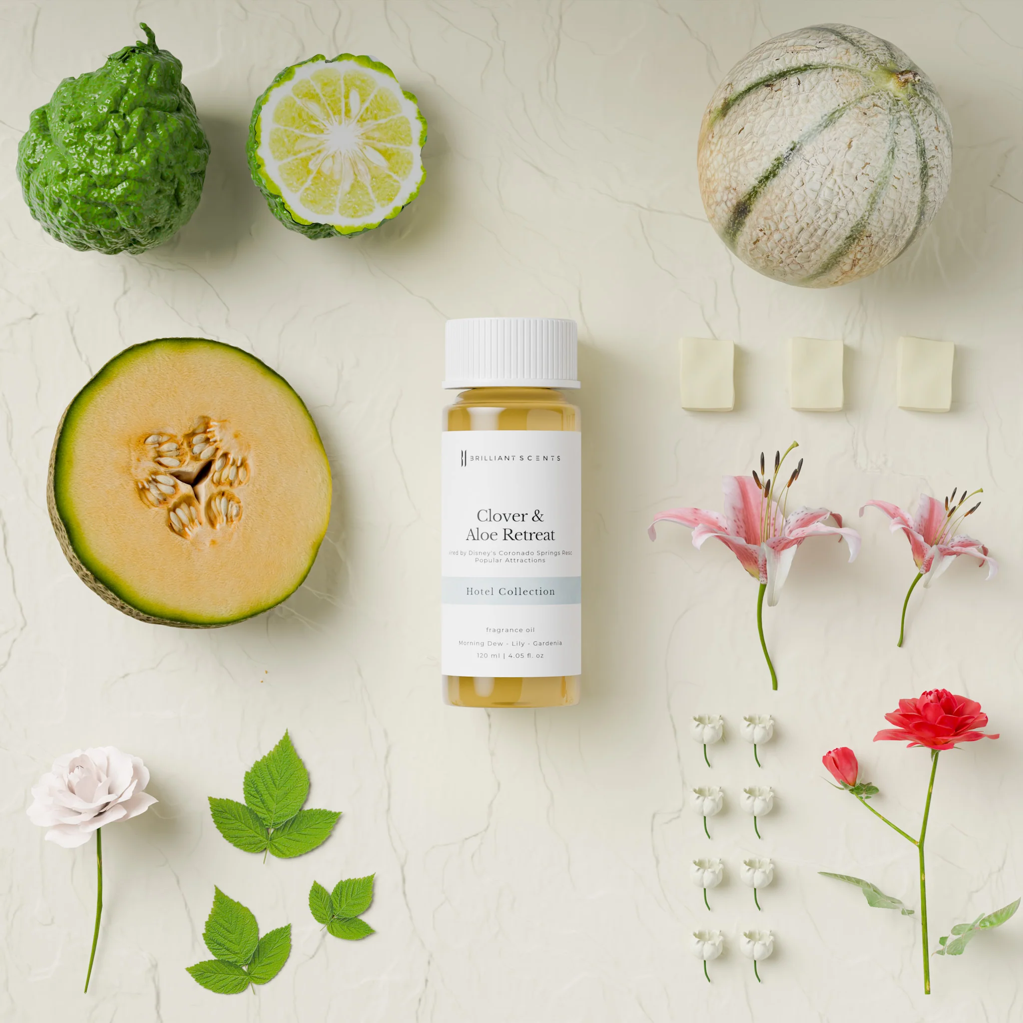 Clover & Aloe Retreat - Image 4