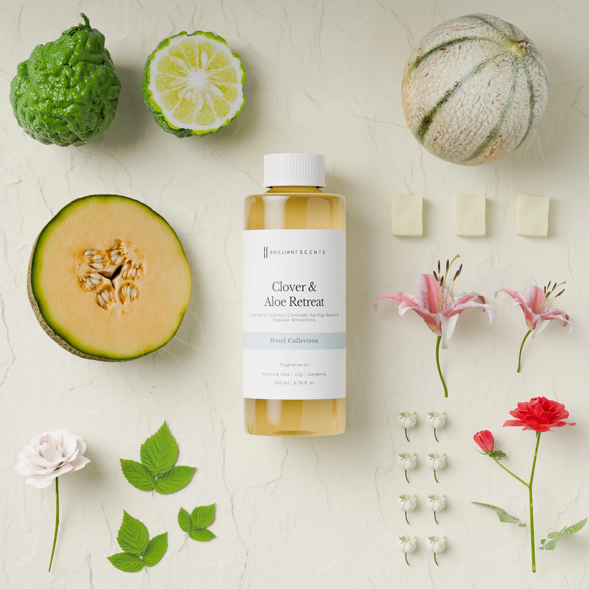 Clover & Aloe Retreat - Image 5