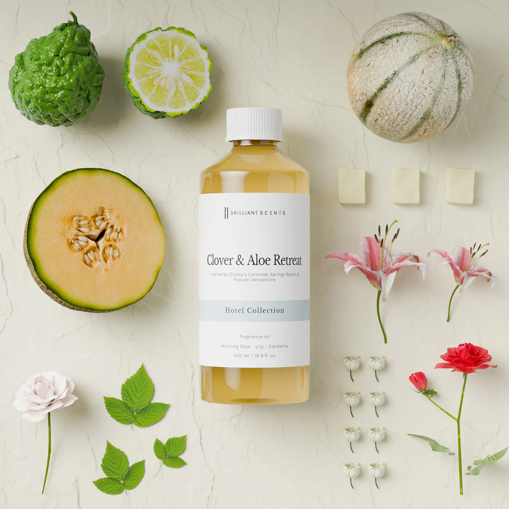 Clover & Aloe Retreat - Image 6