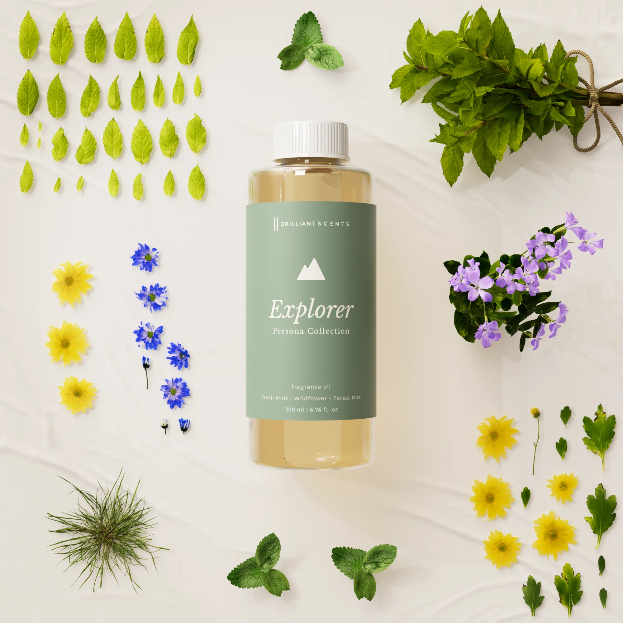 Explorer - Image 5