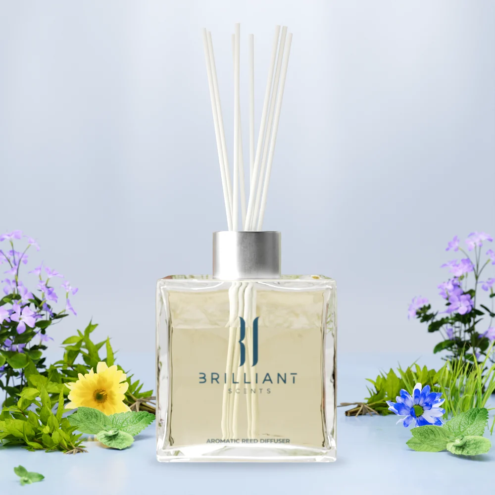 Explorer Reed Diffuser - Image 2