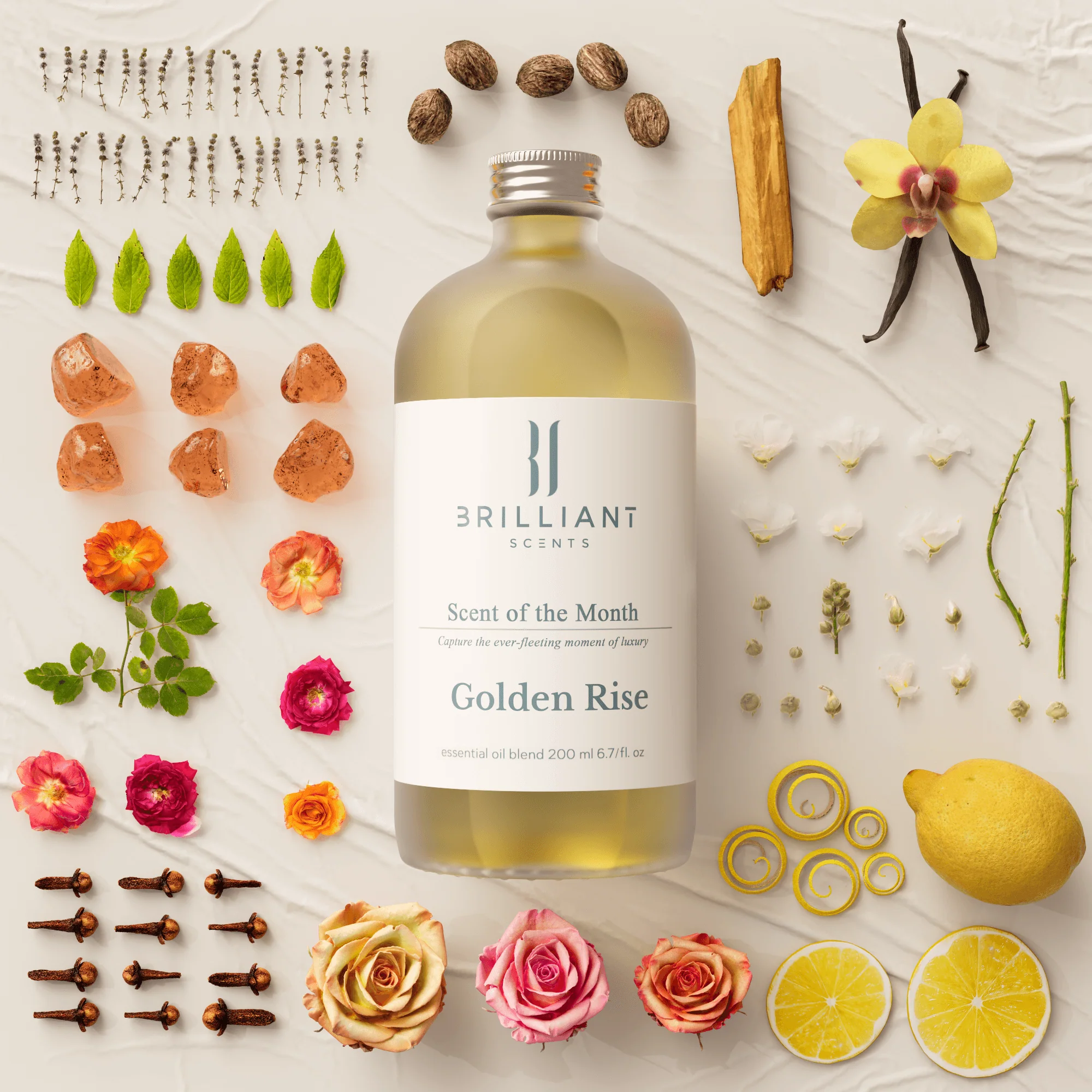 Golden Rise - Image 4