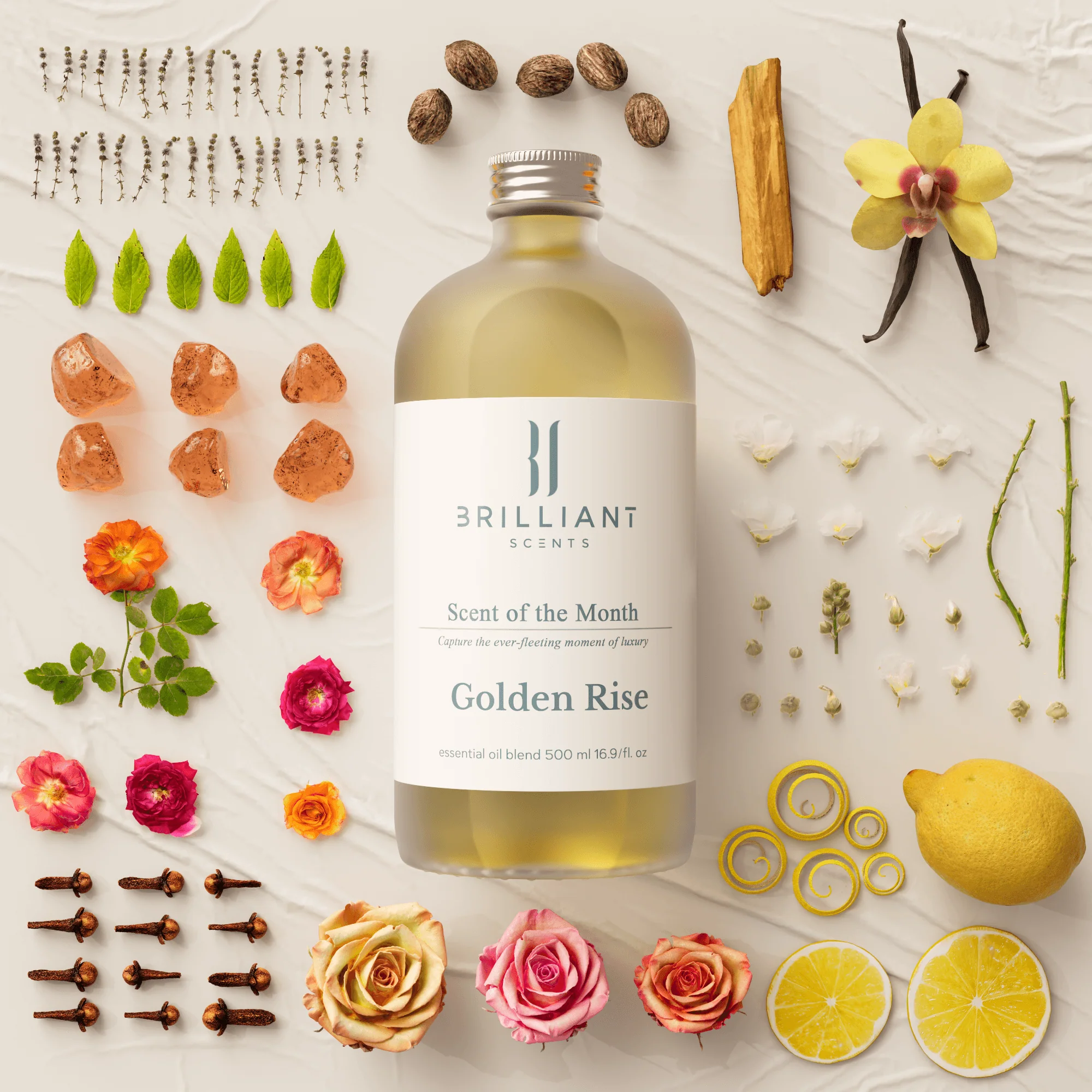Golden Rise - Image 5