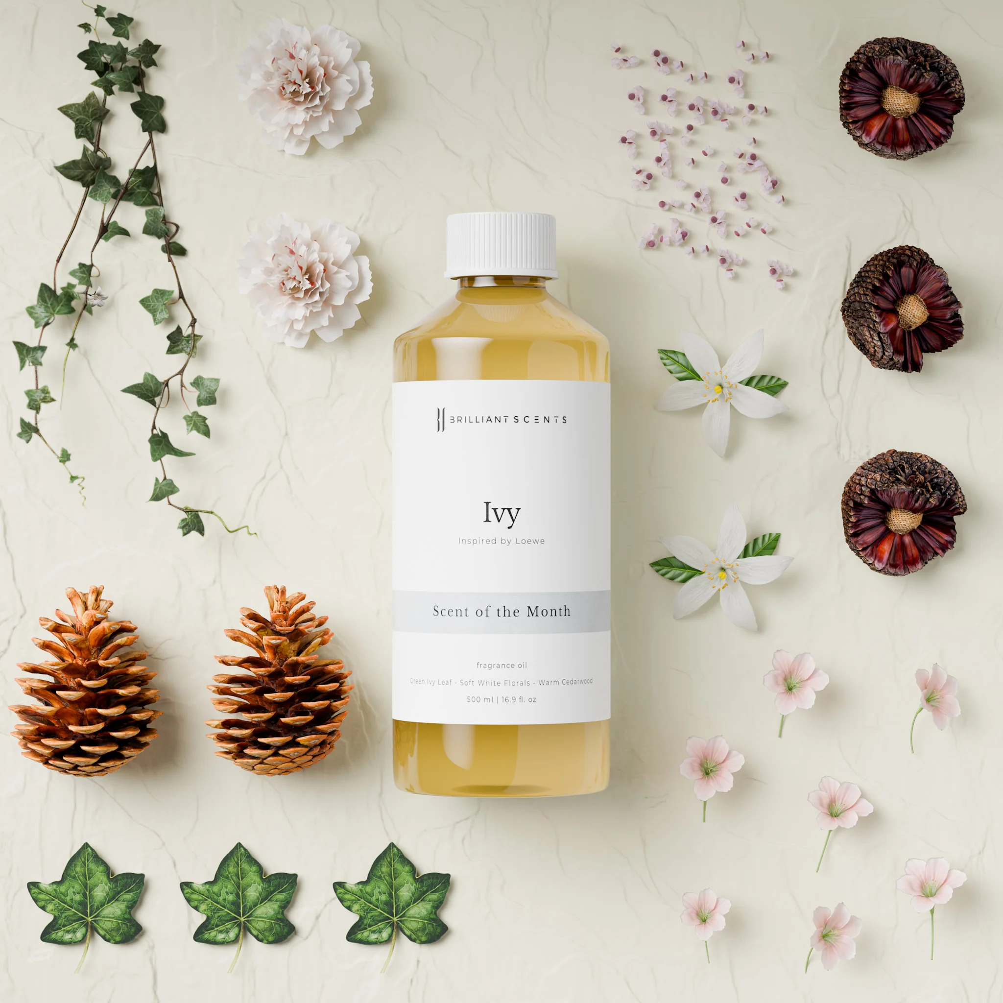 Ivy - Image 6